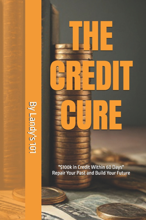 Kniha The Credit Cure Alandra Landy