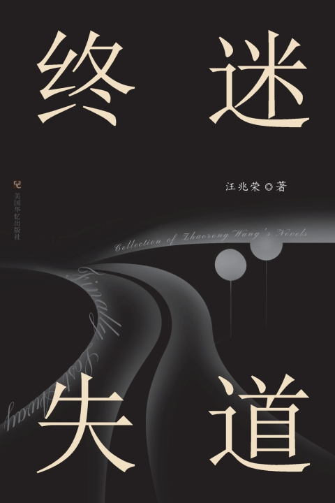 Kniha 终迷失道：汪兆荣小说集 汪