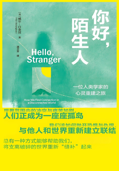 Книга 你好，陌生人 项飙