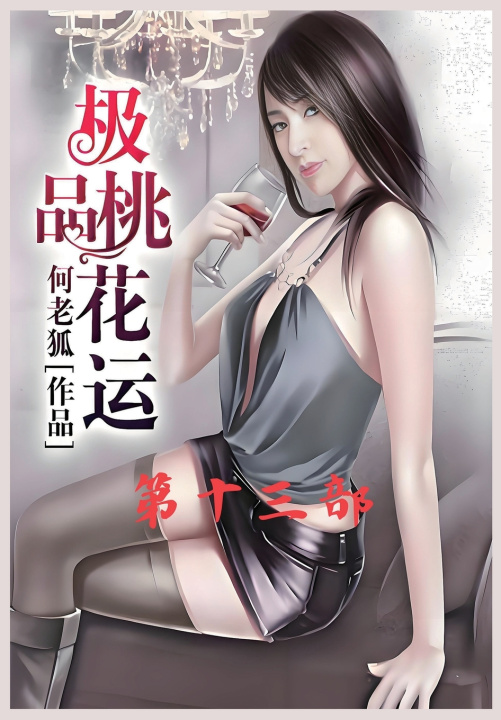 Kniha 极品桃花运：第十三部 何老狐