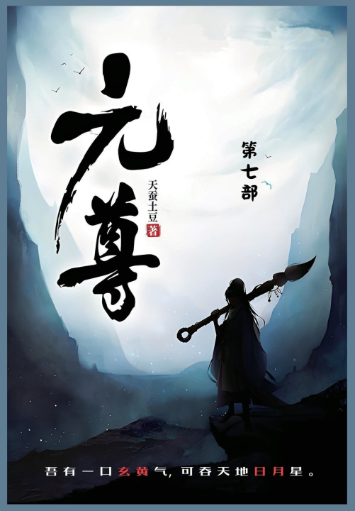Könyv 元尊 天蚕土豆