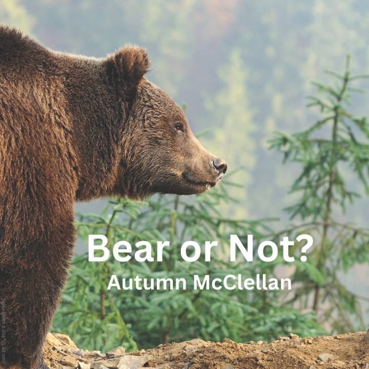 Kniha Bear or Not? Autumn McClellan