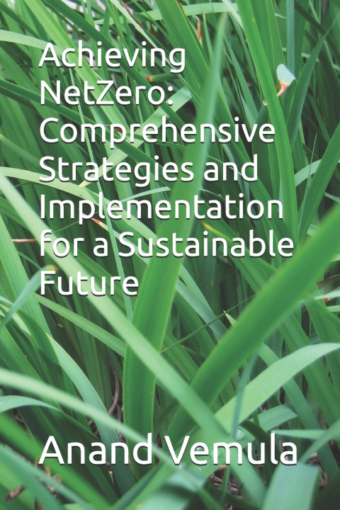 Kniha Achieving NetZero Anand Vemula