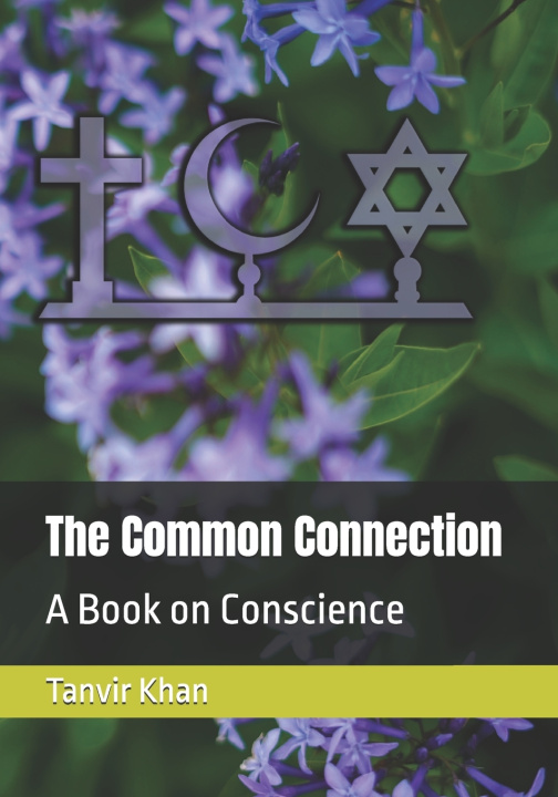 Kniha The Common Connection Tanvir Ahmad Khan
