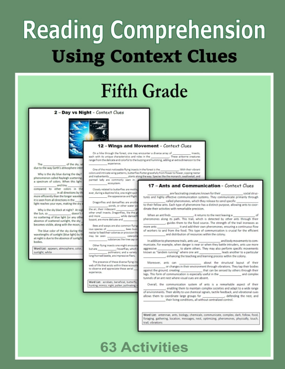 Kniha Reading Comprehension - Using Context Clues - Fifth Grade C. Mahoney