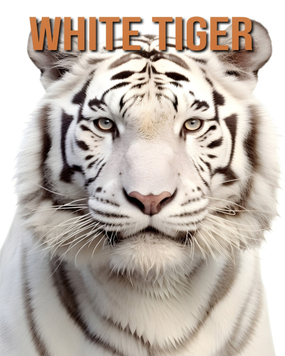 Kniha White Tiger Isla Vane