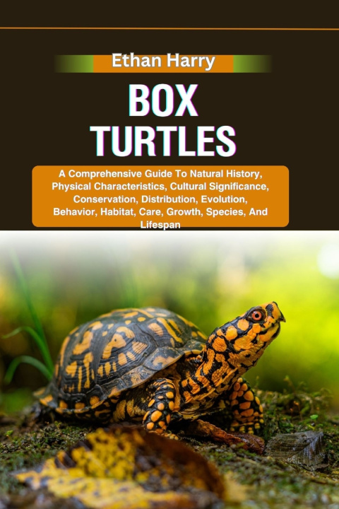 Kniha BOX TURTLES Ethan Harry