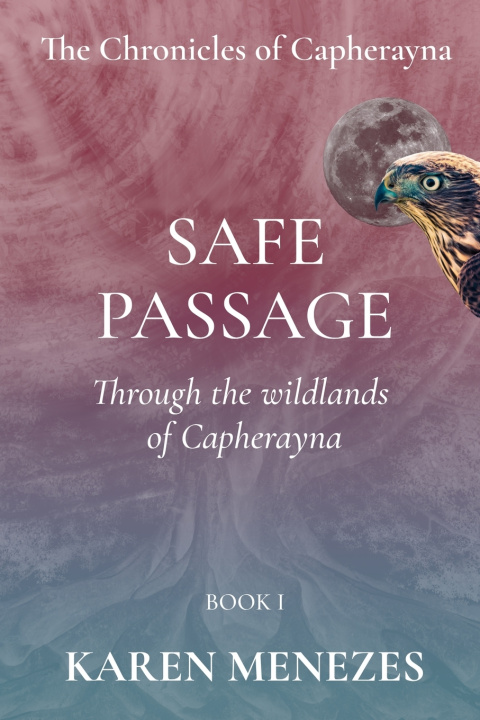 Kniha Safe Passage Karen Menezes