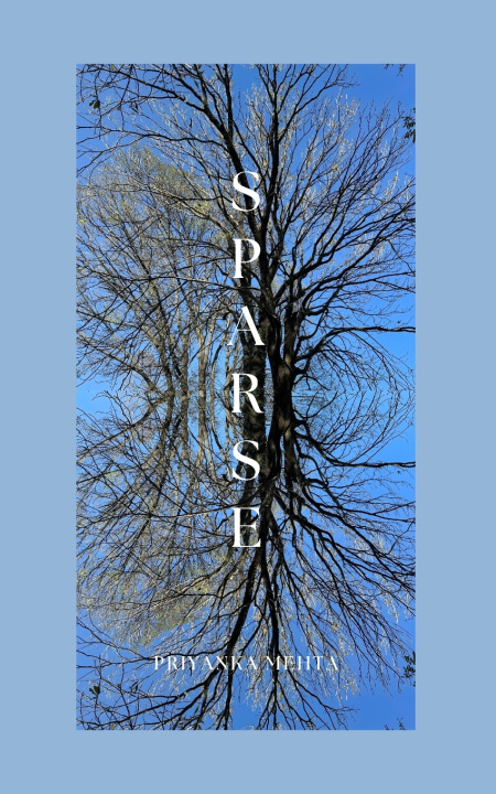 Könyv Sparse Priyanka Mehta