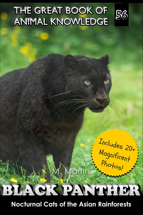 Kniha Black Panther M Martin