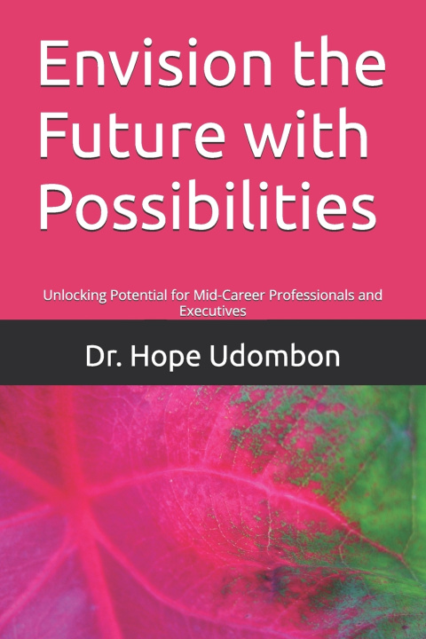 Knjiga Envision the Future with Possibilities Hope Udombon