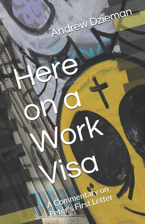 Kniha Here on a Work Visa Andrew M Dzieman