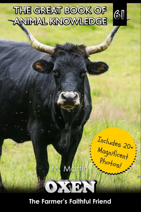 Kniha Oxen M Martin