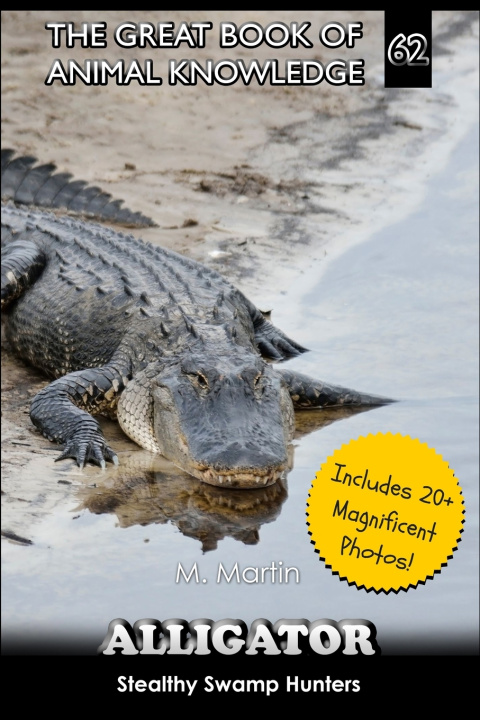 Könyv Alligators M Martin