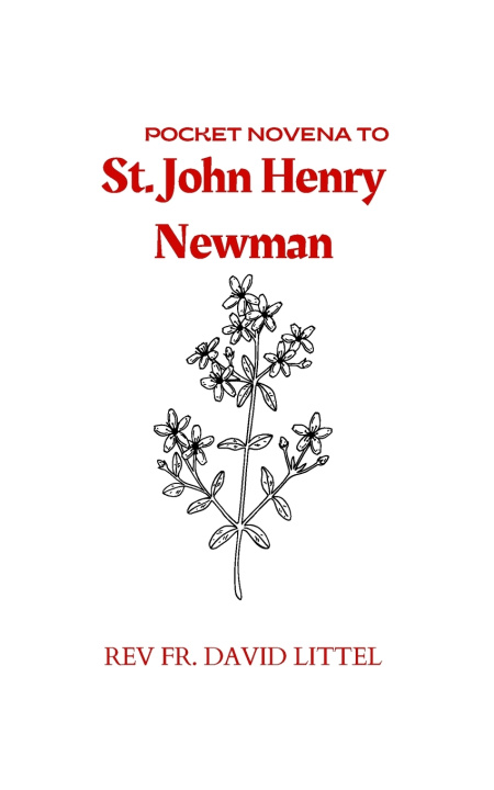 Kniha St. John Henry Newman REV FR. DAVID LITTEL