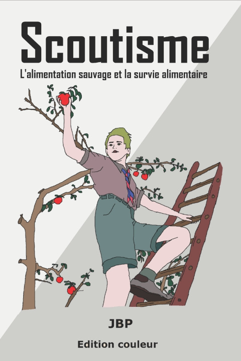Knjiga Scoutisme Jérôme Baldasso