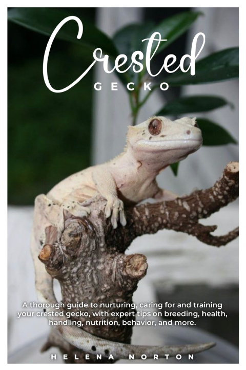 Kniha Crested Gecko HELENA NORTON
