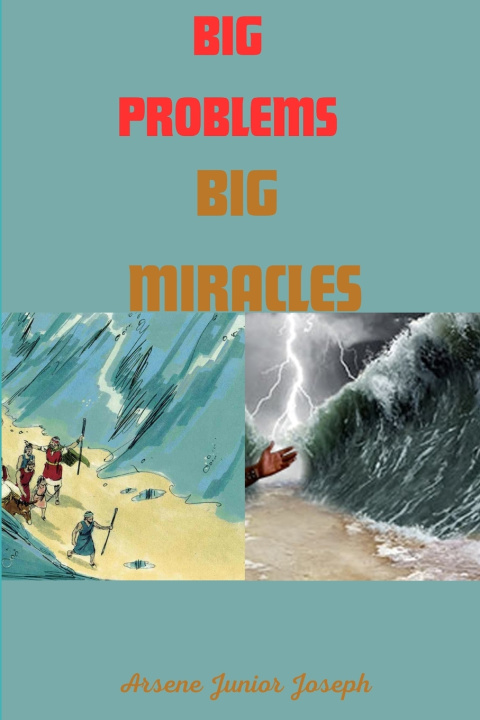 Kniha Big Problems Big Miracles Arsene Junior Joseph