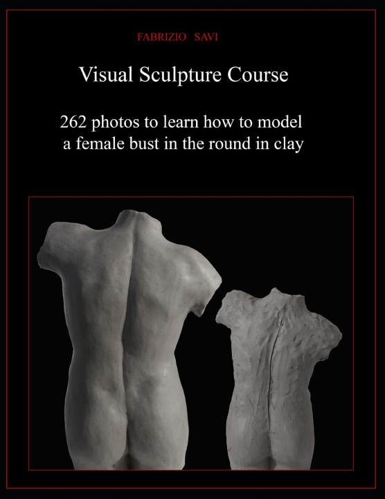 Kniha Visual Sculpture Course Fabrizio Savi