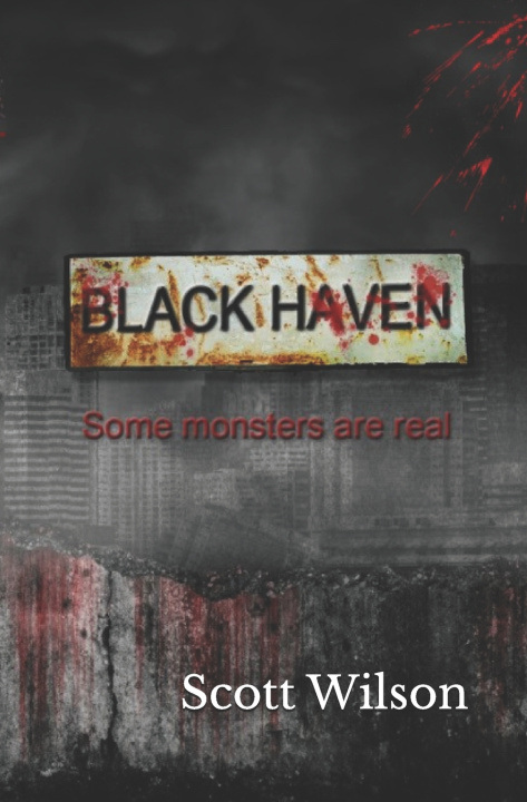 Kniha Black Haven Scott Wilson