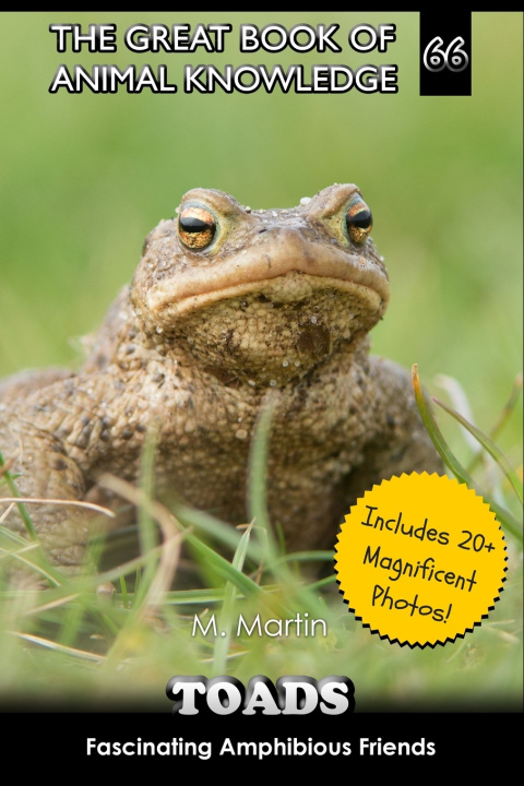 Kniha Toads M Martin