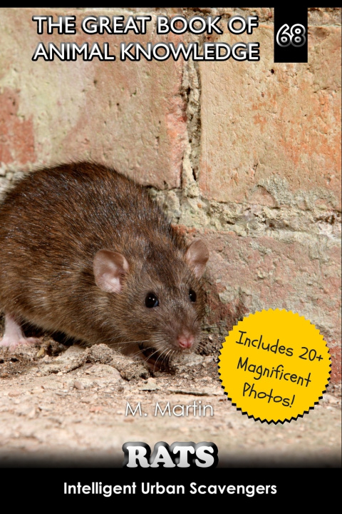 Könyv Rats M Martin