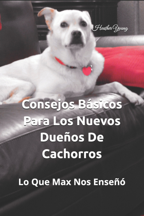 Kniha Consejos Básicos Para Los Nuevos Dueños De Cachorros Heather F Young
