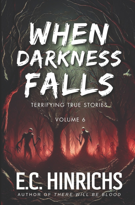 Kniha When Darkness Falls E.C. Hinrichs
