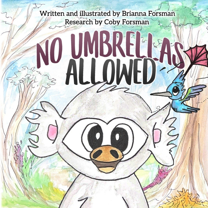 Kniha No Umbrellas Allowed Brianna Forsman