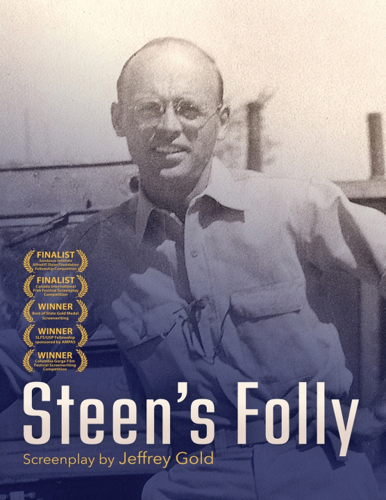Книга Steen's Folly Jeffrey Gold