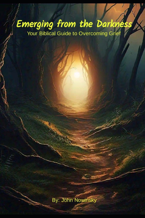 Kniha Emerging from the Darkness JOHN NOWINSKY