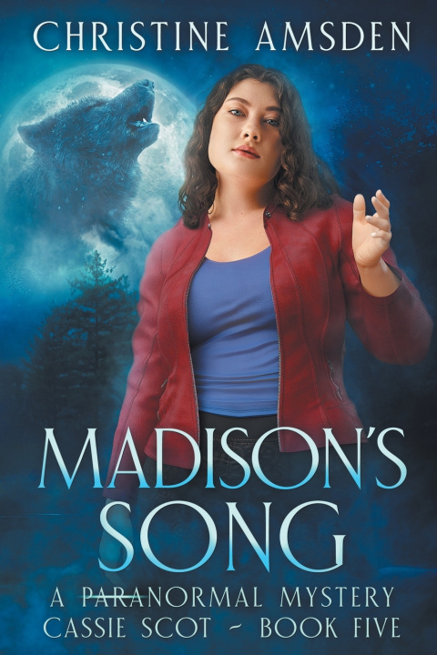 Kniha Madison's Song Christine Amsden