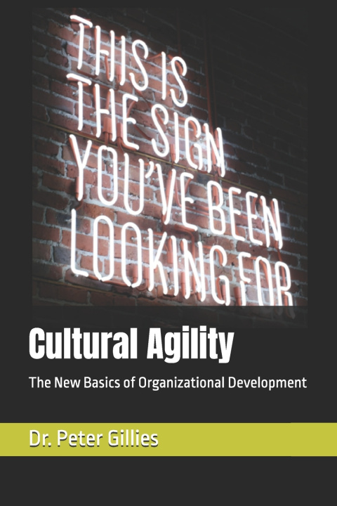 Könyv Cultural Agility Peter R. Gillies