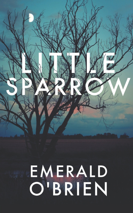 Kniha Little Sparrow Emerald O'Brien