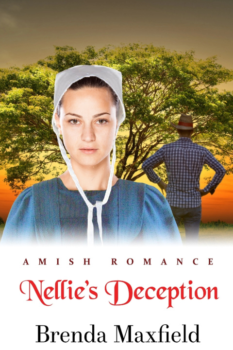Kniha Nellie's Deception Brenda Maxfield