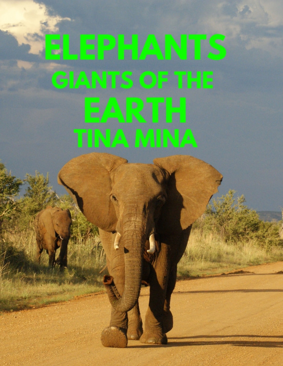 Kniha Elephants TINA MINA