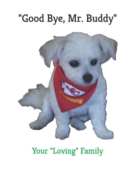 Книга "Good Bye, Mr. Buddy" Your "Loving" Family