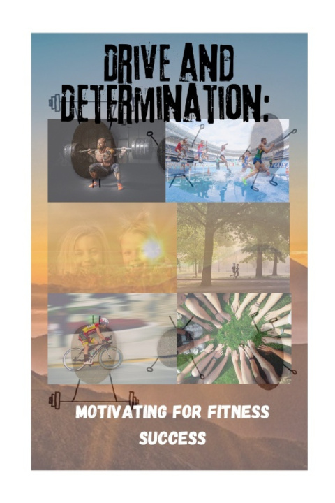 Kniha Drive and Determination HSDAI