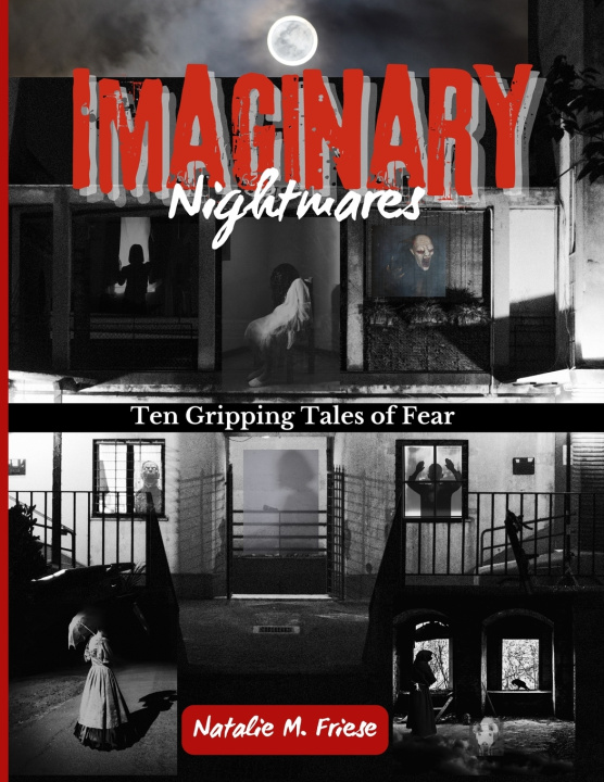 Kniha Imaginary Nightmares Natalie M Friese