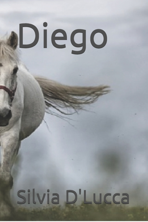 Könyv Diego Silvia D'Lucca