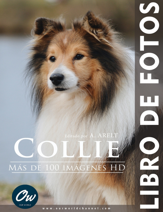 Kniha Collie A Arelt