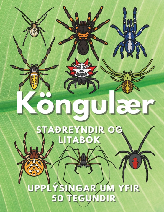 Kniha Köngulær Steven Book