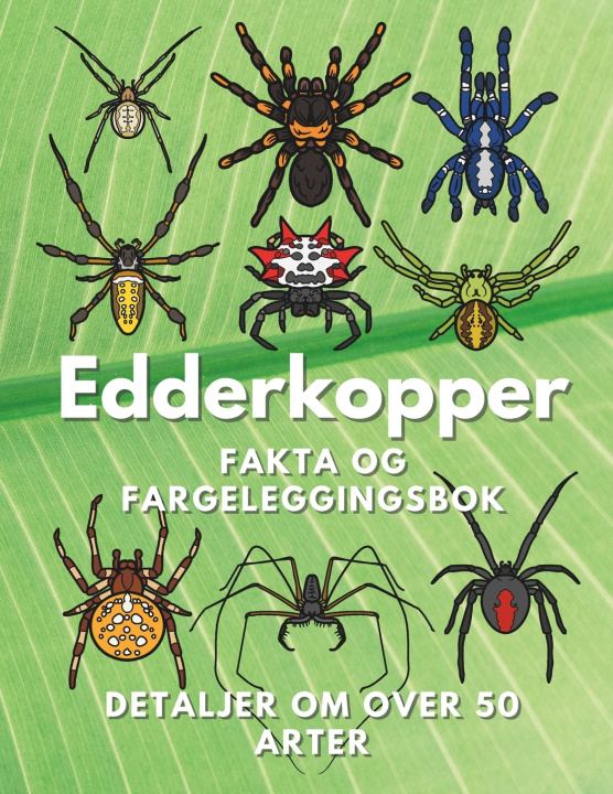Könyv Edderkopper Steven Book