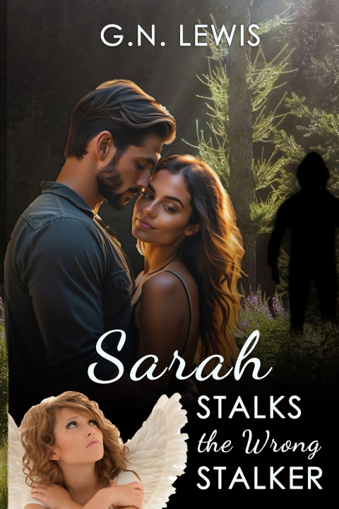 Kniha Sarah Stalks the Wrong Stalker G.N. Lewis