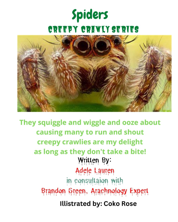 Könyv Spiders Brandon Fewwn