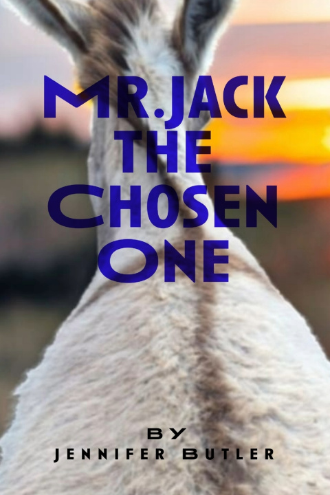 Kniha Mr.Jack Brian Hampton