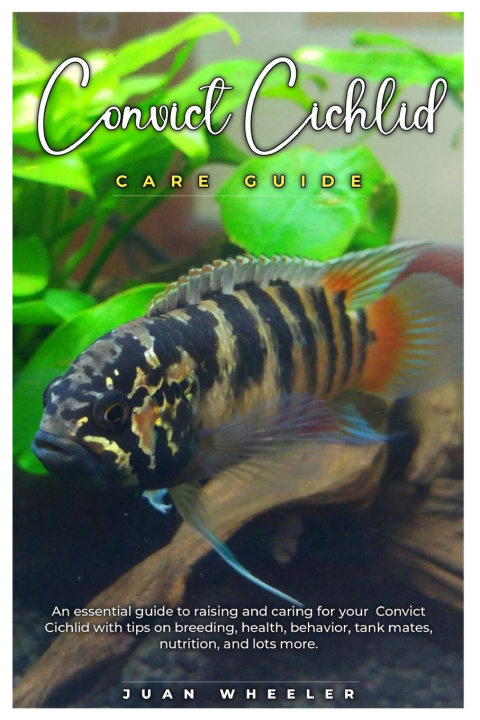 Книга CONVICT CICHLID CARE GUIDE JUAN WHEELER