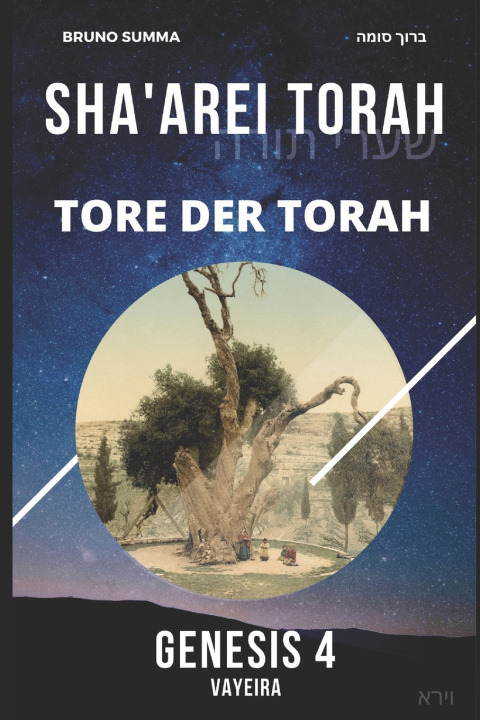 Livro SHA'AREI TORAH Bruno Summa