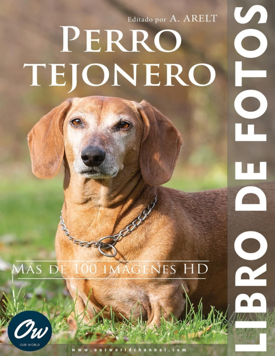 Knjiga Perro tejonero A Arelt