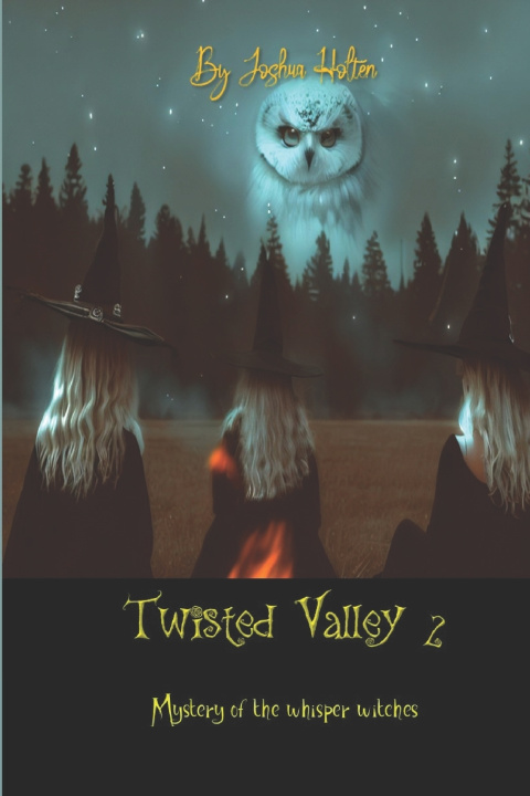 Kniha Twisted valley 2 Joshua Holten